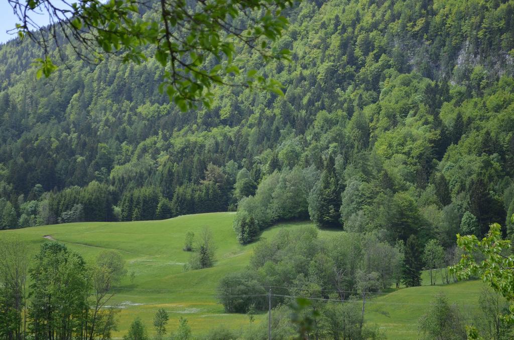 Bauernhof Konig Villa Anger  Luaran gambar