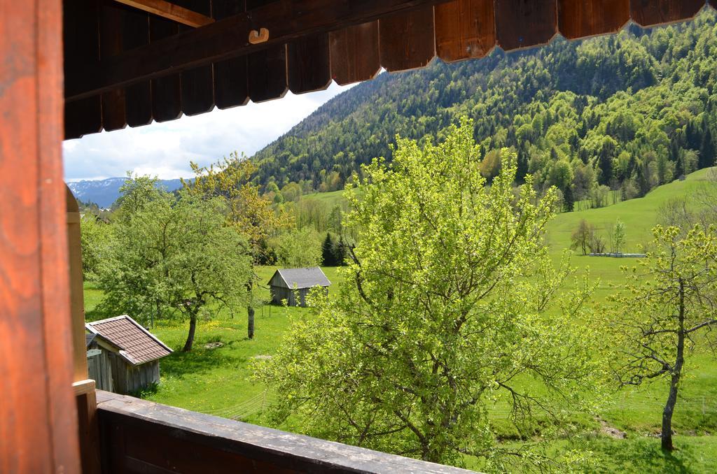 Bauernhof Konig Villa Anger  Luaran gambar