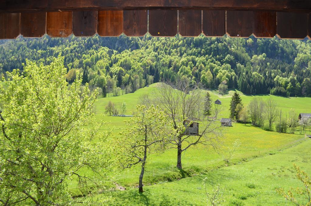 Bauernhof Konig Villa Anger  Luaran gambar