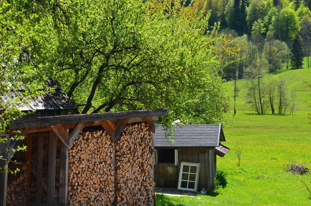 Bauernhof Konig Villa Anger  Luaran gambar