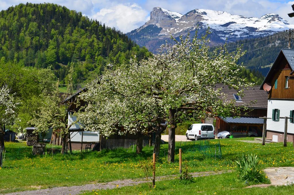 Bauernhof Konig Villa Anger  Luaran gambar